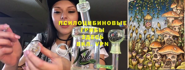 ешки Алзамай