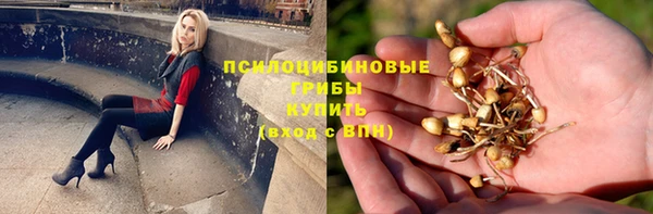 спиды Алексин